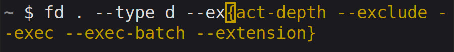 A screenshot of a terminal showing the auto suggestion feature that is developed in this blog post. The terminal shows the beginning of an `fd` command, where the flags are being suggested as the user types.